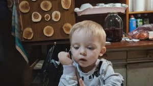 День рождения Львенка.