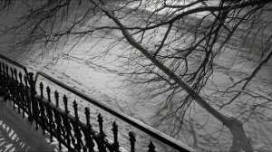 Тень на плетень