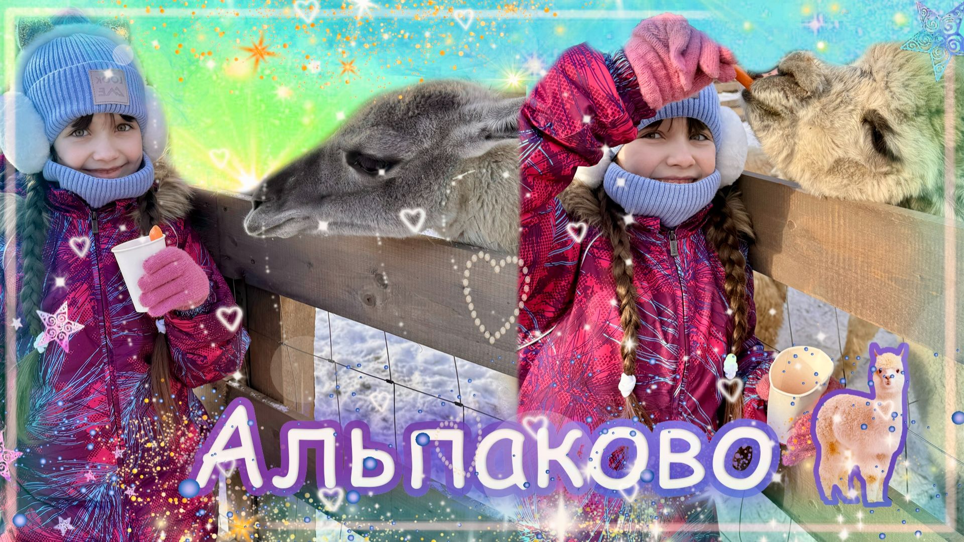 Зоопарк Альпаково в ЦПКиО Волгоград #альпаки #мойпарк смотреть онлайн