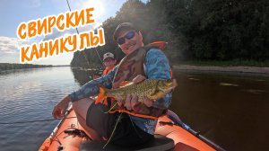 Свирские каникулы. Рыбалка на спиннинг на большой реке с байдбота
