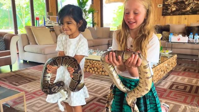 Лайк Настя смотреть онлайн