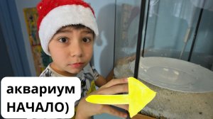 Запуск Аквариума 50 Литров – Как правильно? Семейный блог
