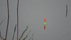 ТАКАЯ РЫБАЛКА ВПЕРВЫЕ У НЕЁ! ОНИ ТАЩАТ И ГНУТ УДОЧКУ! Рыбалка на поплавок.