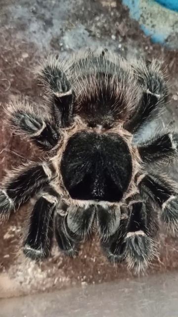 Кормление Машеньки. 11 января 2026 г. смотреть онлайн