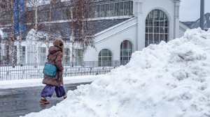 Полоса препятствий: снегопад устроил москвичам незабываемый первый рабочий день