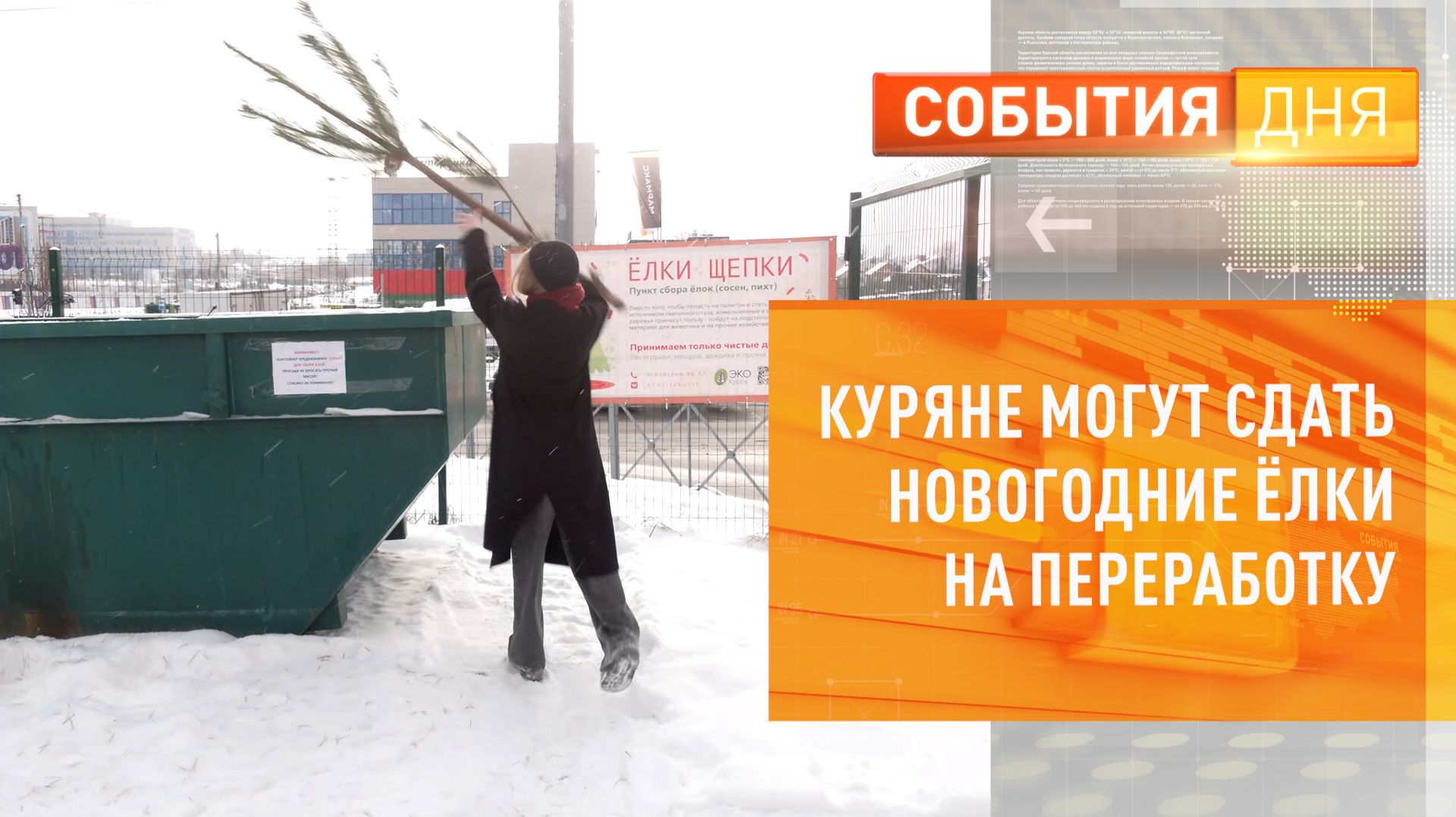 Куряне могут сдать новогодние ёлки на переработку смотреть онлайн