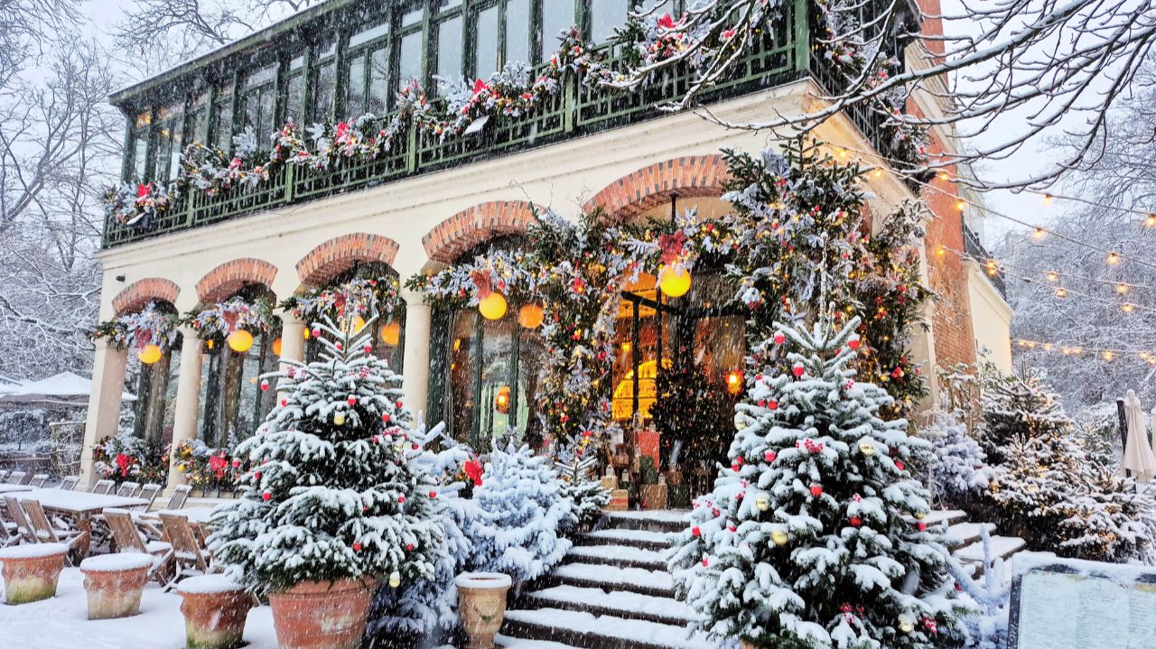 Париж под снегом 7.01.2026 + Версаль 4.01.2026 смотреть онлайн