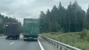 Побег коровы