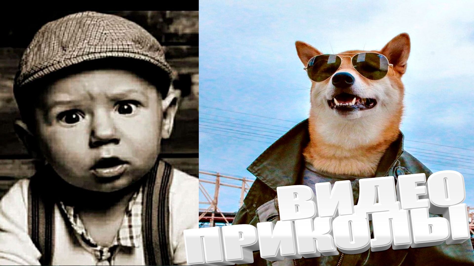 ВИДЕОПРИКОЛЫ \ КРУТЫЕ ПРИКОЛЫ 2025 \ НОВЫЕ ПРИКОЛЫ \ СМЕШНЫЕ ПРИКОЛЫ 2025 ЮМОР смотреть онлайн