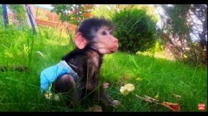 Ангелина, Люся и Каролина-полезный завтрак на траве в КРАСИВОМ МЕСТЕ!