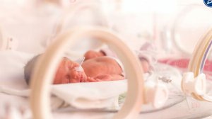 СК возбудил уголовное дело после гибели младенцев в роддоме Новокузнецка