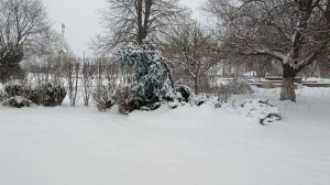 Зима в городе...