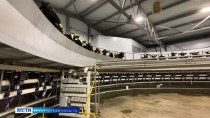 Абсолютный рекорд по производству молока зафиксирован в Вологодской области