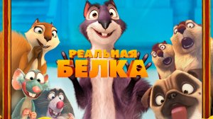 Реальная Белка мультфильм нарезка для детей и детишек