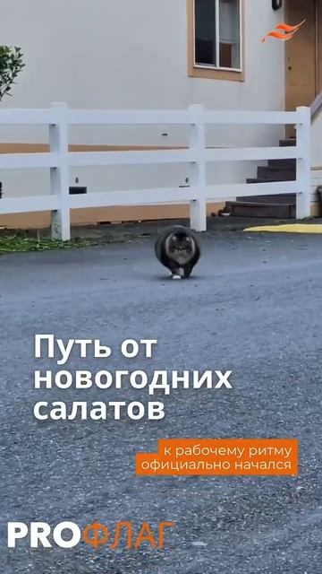  Идеи  уже крутятся в голове