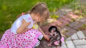 Ангелина ЛЮСИН АДВОКАТ! У Люси плохое настроение и она выгнала всех с полянки)