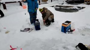 Утро на водоеме !