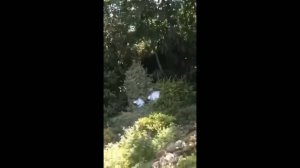 #смешныевидео -466