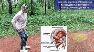 Локти = инструменты укрепления тазобедренных суставов и коленей. Восстановите ПП-мышцу и ПБ-тракт