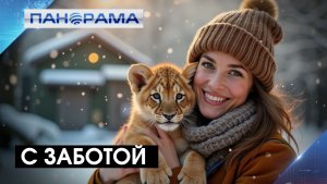 Хорошо кушают и готовятся к зиме: в зоопарке Мариуполя приютили спасённого львёнка и косулю