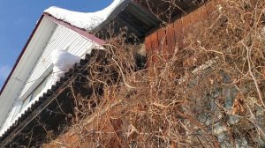 Добро не оставляет шрамов, потому что его не помнят...