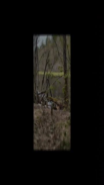 Архив 2020 г. Поход к дикому озеру 2