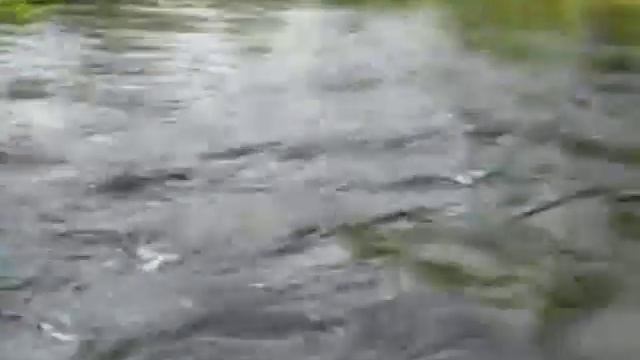 КОМЕДИЯ РОК Что творю - не знаю сам!?. смотреть онлайн