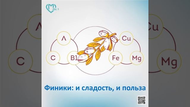 Съедобные плоды финиковой пальмы богаты витаминами и минералами смотреть онлайн