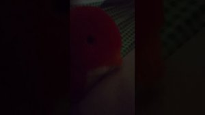 Рассказываю о своём мире в майнкрафт