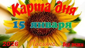 Карта дня❄15 января🎄☃️Пасьянс. Тайм-код в описании🦢