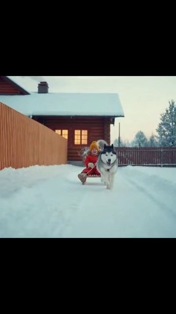 детиисобаки детииграют щенокдруг семейныймомент питомцынашидрузья счастьевдоме