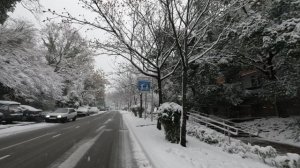 лазареское 13.01.2026