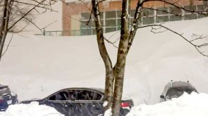 Сугробы до второго этажа и полная блокада: Камчатка попала в снежный плен