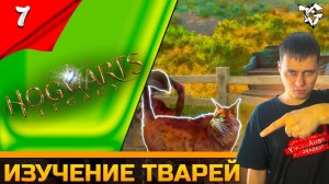 Прохождение ➡ Hogwarts Legacy [#7] ➡ Изучение тварей