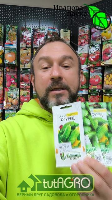 🥒 3 КУСТА НАКОРМЯТ ВСЮ ДЕРЕВНЮ ОГУРЦАМИ! Попробуйте эти сорта и никогда от них не откажетесь! смотреть онлайн