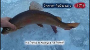 Клëвая Зимняя Рыбалка Декабря в -30°!!! На Ленка и Хариуса 25/26!!!