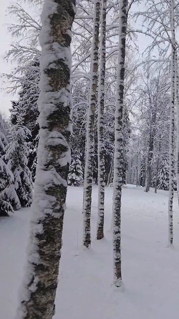 2026-01-14 19-54-29 смотреть онлайн