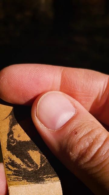 Он поделился этой уникальной идеей! лайфхаки и бушкрафт смотреть онлайн