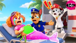 Щенячий патруль и Маршалл. Залипательное видео. Мультфильм для детей и малышей. Анимация 72