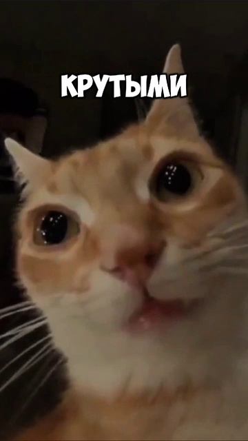 РЕАЛЬНО САМЫЙ СИЛЬНЫЙ БРАВЛЕР #brawlstars смотреть онлайн