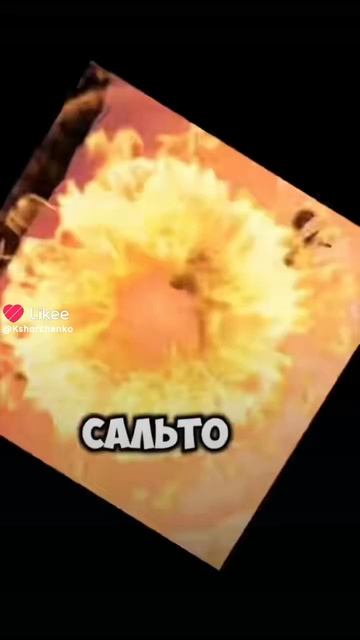 10 дом бот смотреть онлайн