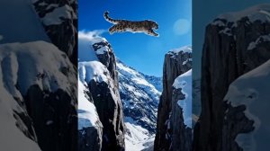 Зов степи- Veter Piter.