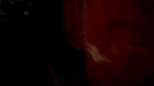 Пароль для Кошек: "Хозяйка пришла!"