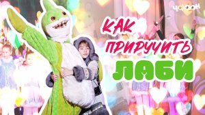 Как приручить Лаби