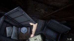 В горах Амбарино в RDR2 спрятан поезд, если залезть в вагон, можно найти два золотых слитка по $500.