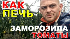 Пеллетная печь заморозила теплицу с томатами. Строим дальше Гостевой домик.