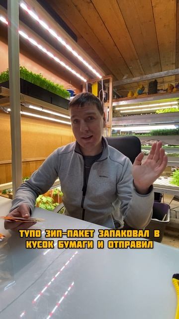 Семена гигантской тыквы смотреть онлайн