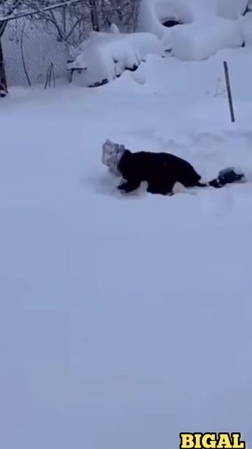  смотреть онлайн