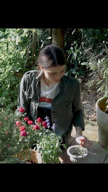 Opus 8 «В саду». Музыкальная композиция Андрея Субботина смотреть онлайн