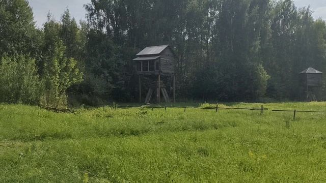 Костромская слобода смотреть онлайн